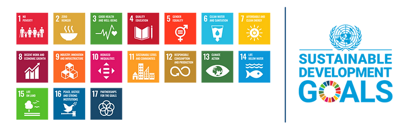 SDG header.png